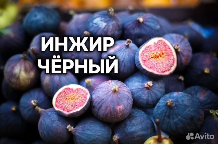 Плодовые декоративные деревья