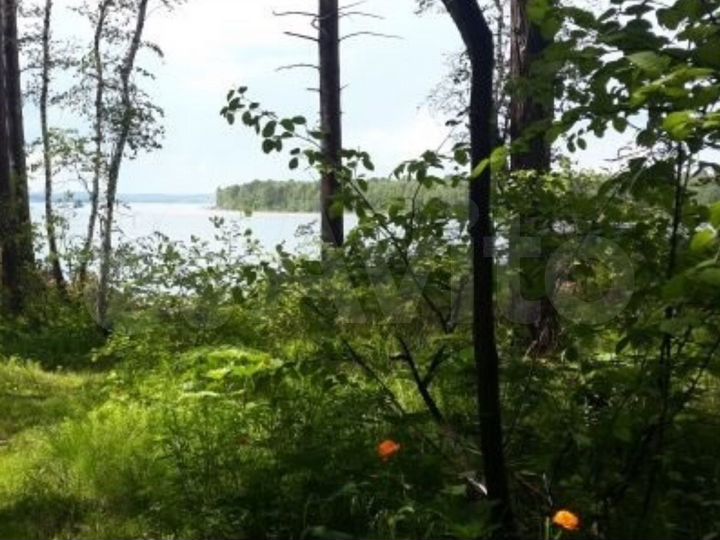 Участок 20 сот. (СНТ, ДНП)