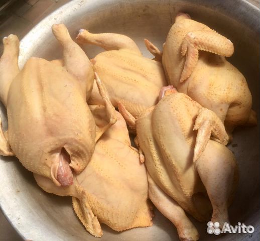 Куры бройлеры, мясо, цыплята