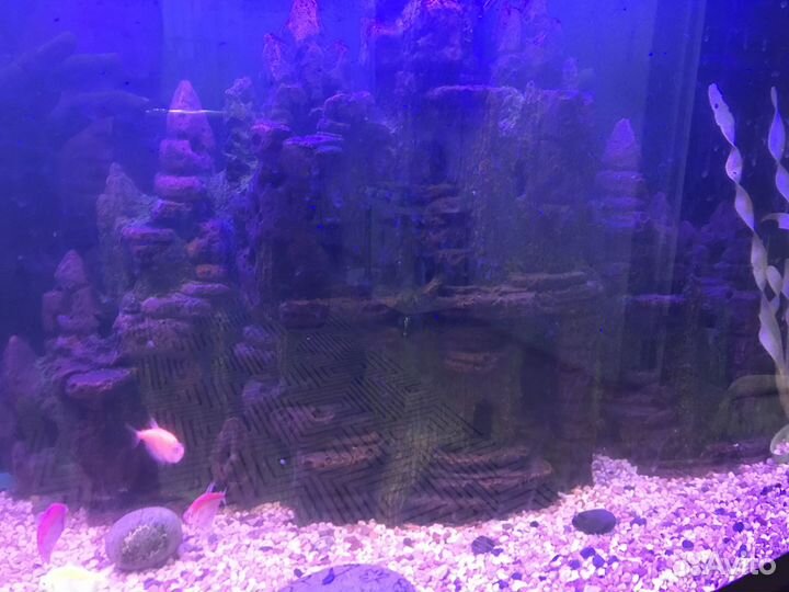 Аквариум в полном комплекте