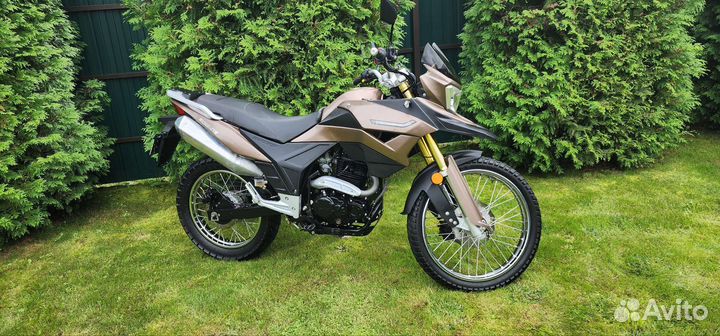 Racer ranger RC300-GY8