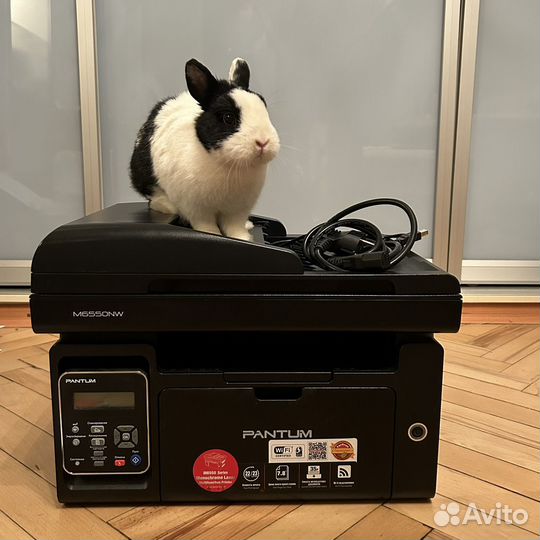 Принтер pantum m6550nw