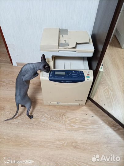 Xerox phaser 6128