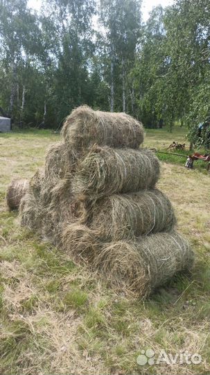 Продам сено в тюках