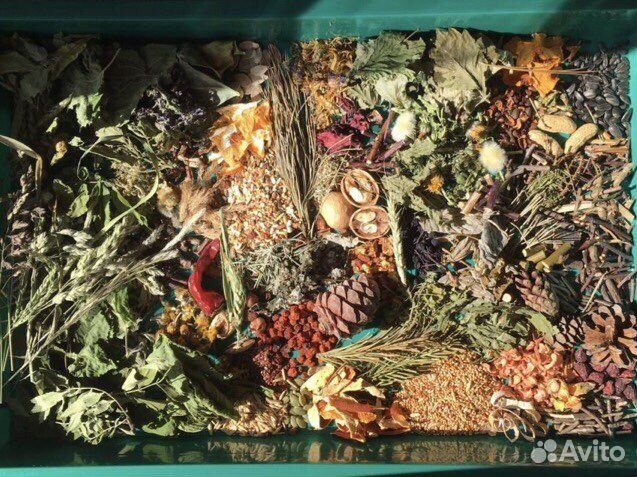 Копошилка, венки, жерди для попугаев и птиц