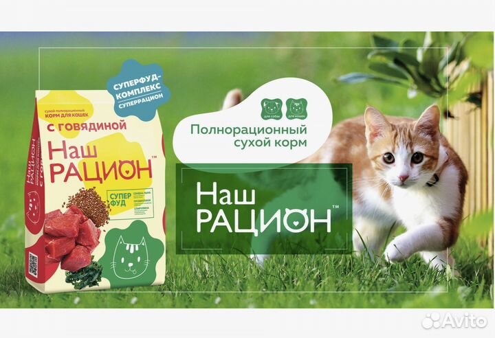 Сухой корм для кошек 