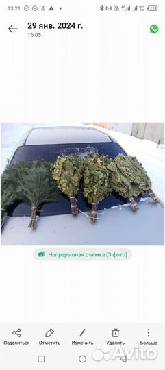 Веники для бани пихта,береза, можевельник,кедр дуб