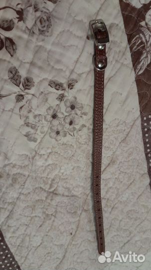 Ошейник для собак