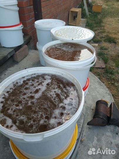 Мед липовый 2024г Опт