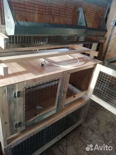 Клетки и брудеры для птицы
