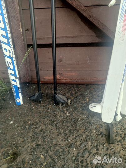 Беговые лыжи