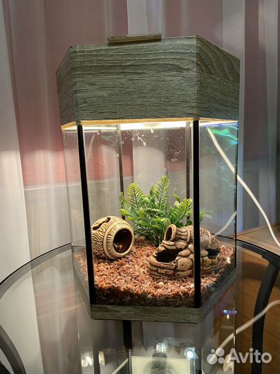 Аквариум aquael