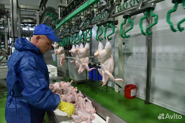 Оператор линии - вахта в Челябинской области