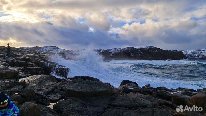 Туры териберка киты