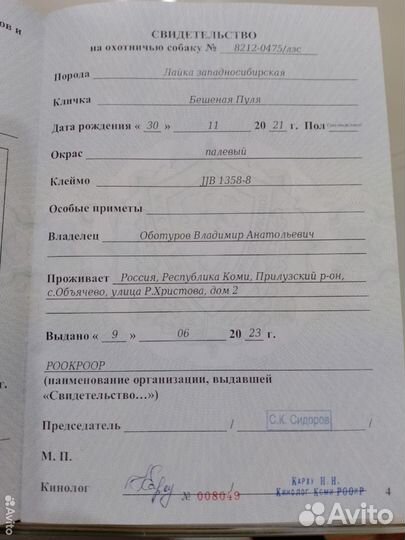 Западно сибирская лайка