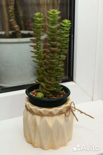 Кашпо (ручной работы) Handmade