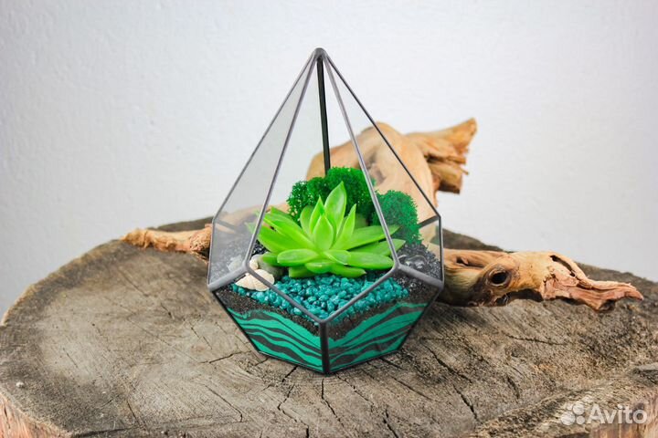 Флорариум Капля XS