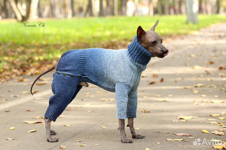 Erna Loos. Одежда для собак и их хозяев