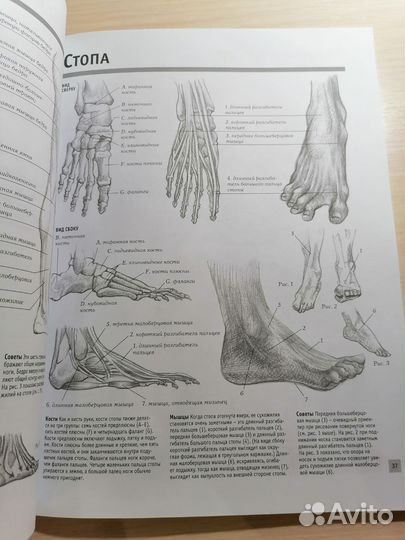 Рисуем голову и фигуру человека