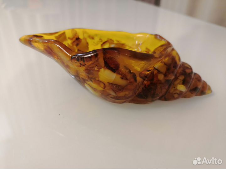 Ракушка из янтаря 130*60 мм
