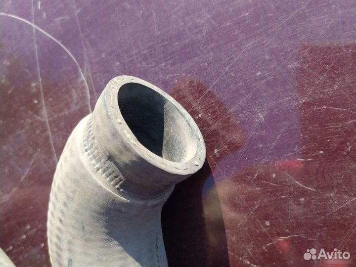 Шланг на радиатор правый Opel Vectra A