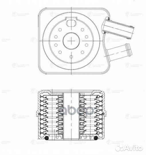 Радиатор масл. для а/м VW Passat B5 (96)