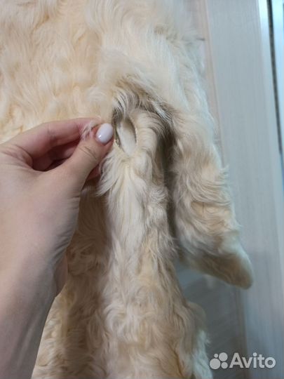 Шуба натуральная овчина стриженая 40-42