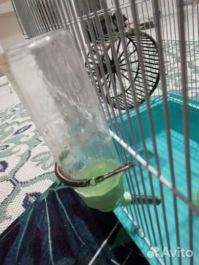 Клетка для хомячка