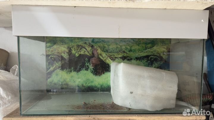 Аквариум