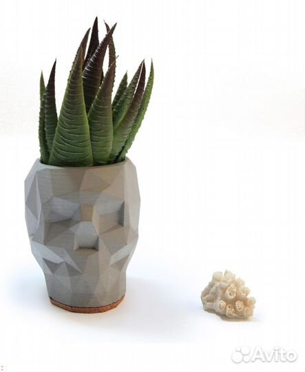 Декоративный череп из цементного раствора