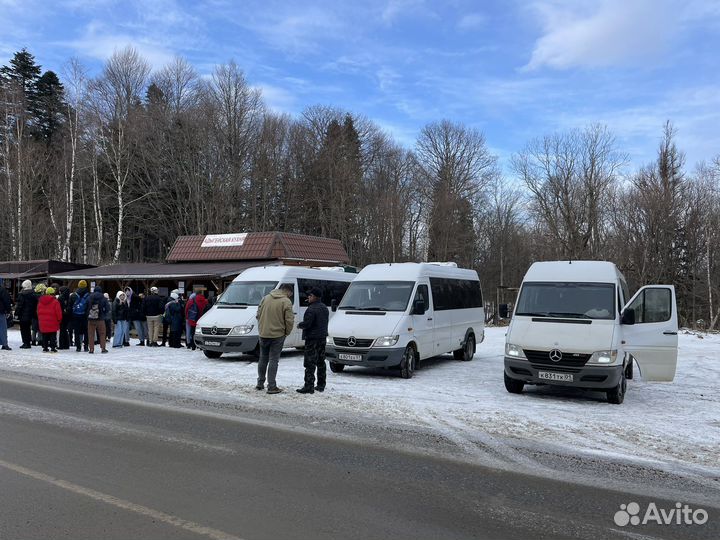 Заказ микроавтобуса, Автобуса