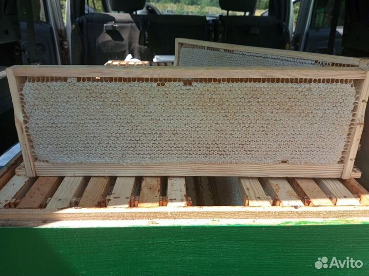 Сотовый мед