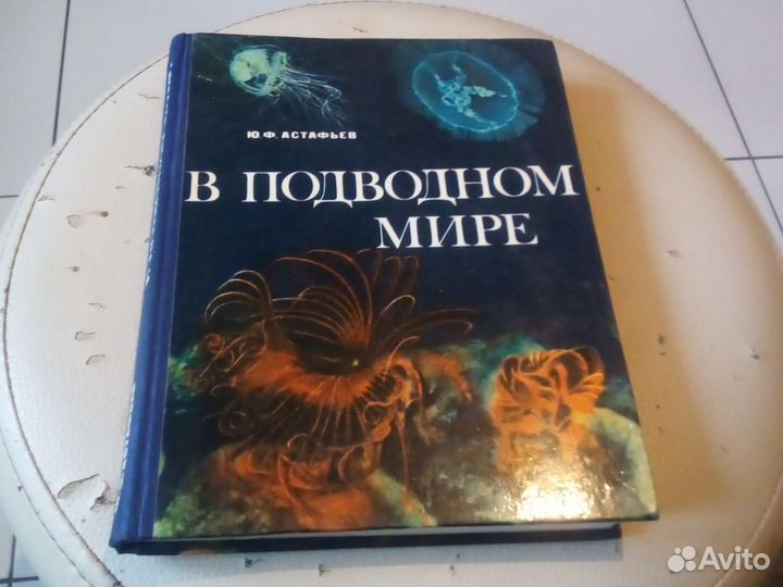 В подводном мире