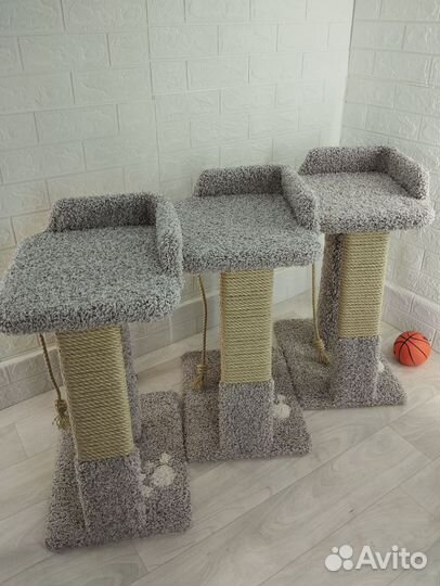 Когтеточка