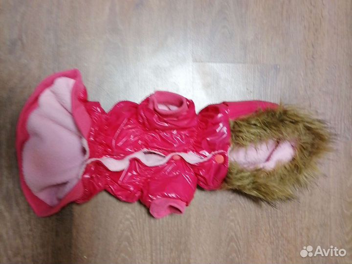 Одежда для собак