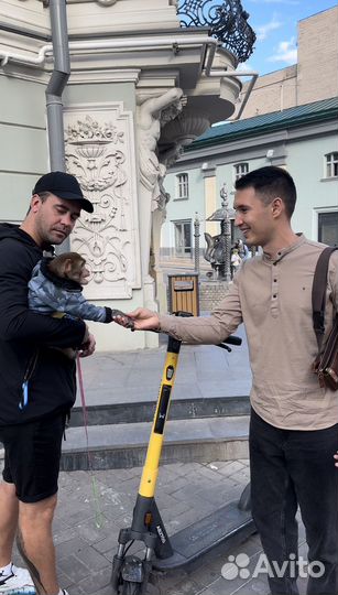 Выкуп авто / Срочный выкуп автомобилей