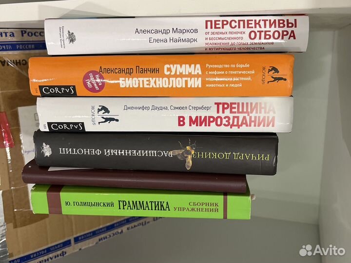 Книги и блокноты