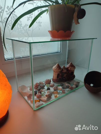 Аквариум на 20 литров