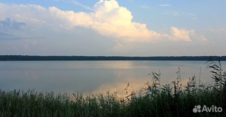 База отдыха