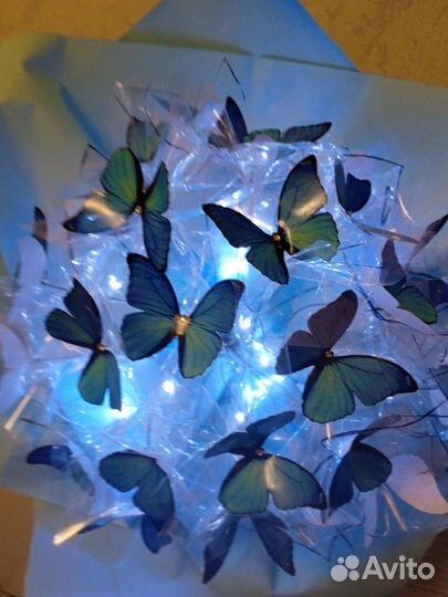 Букет из бабочек