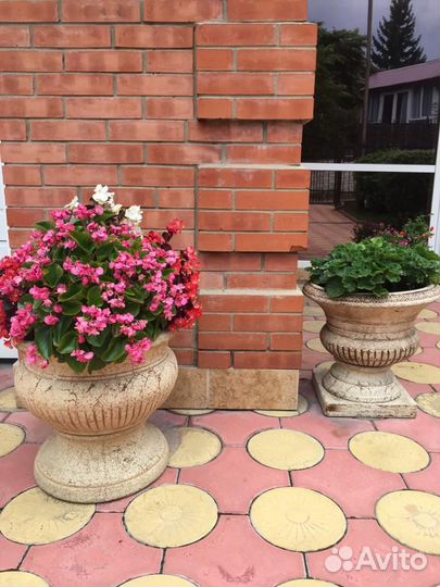 Кашпо с цветами