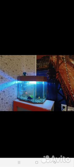 Аквариум без рыбы 45 литр