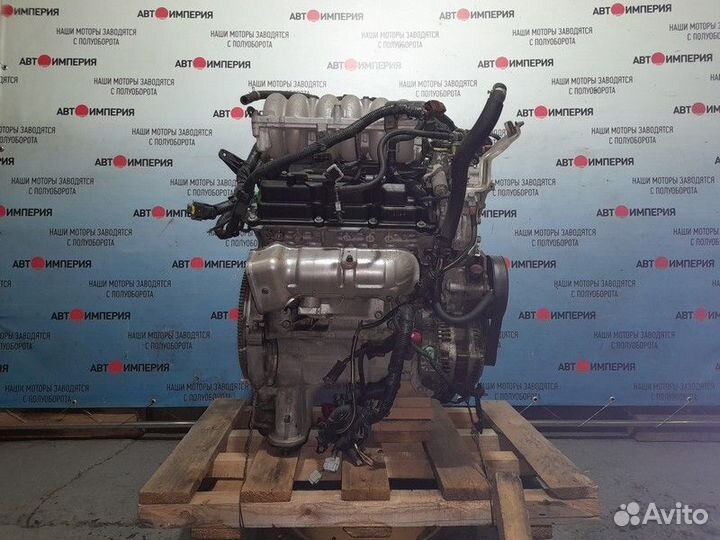 Двигатель nissan elgrand ME51 VQ25DE 248092A 2004