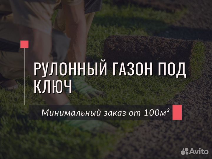 Укладка и продажа рулонного газона
