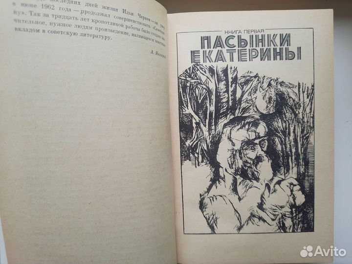 Книга Семейщина Илья Чернев