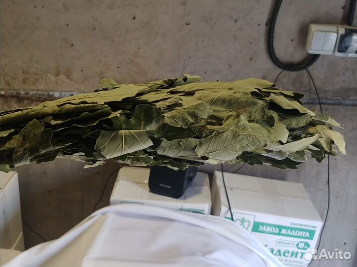 Веники дубовые