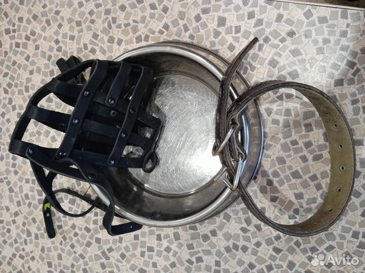 Ошейник и поводок