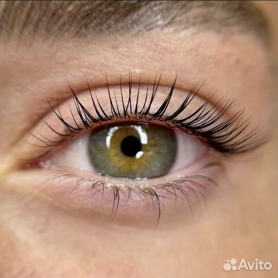 Брови Парнас/ Ламинирование ресниц