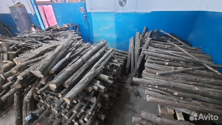 Можжевельник