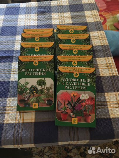 Энциклопедия комнатных цветов